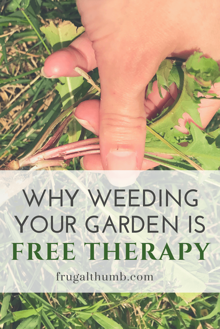 Why Weeding is Free Therapy