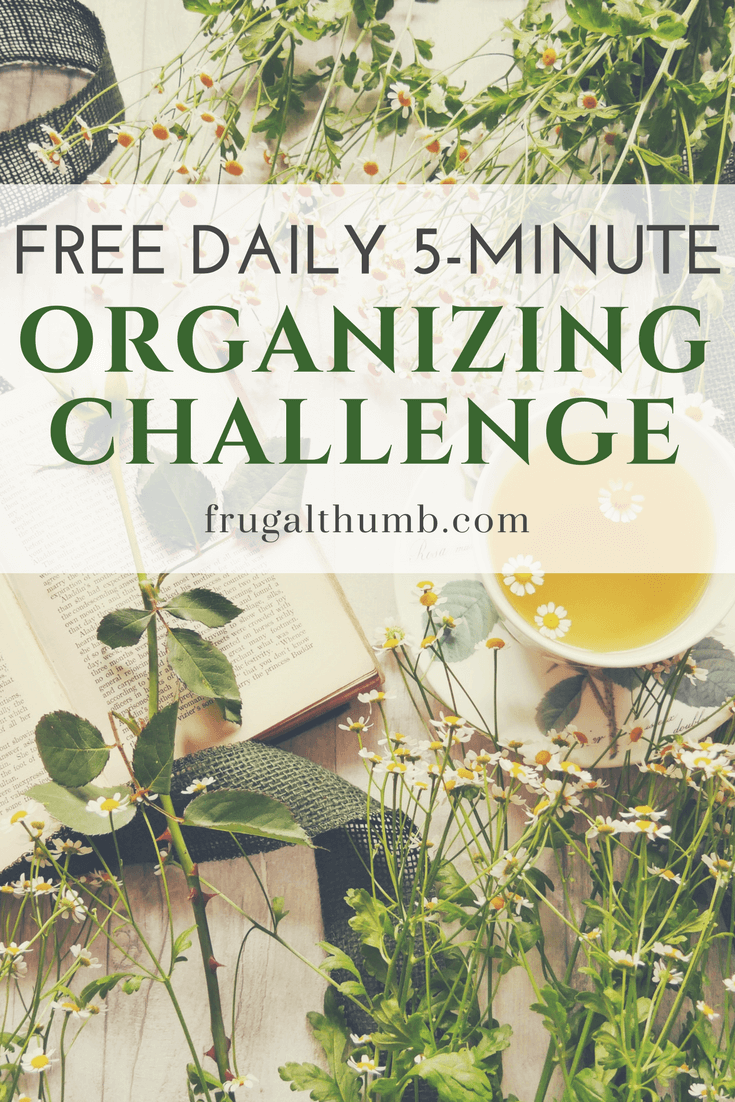 Free Daily 5-minute Organizing Challenge