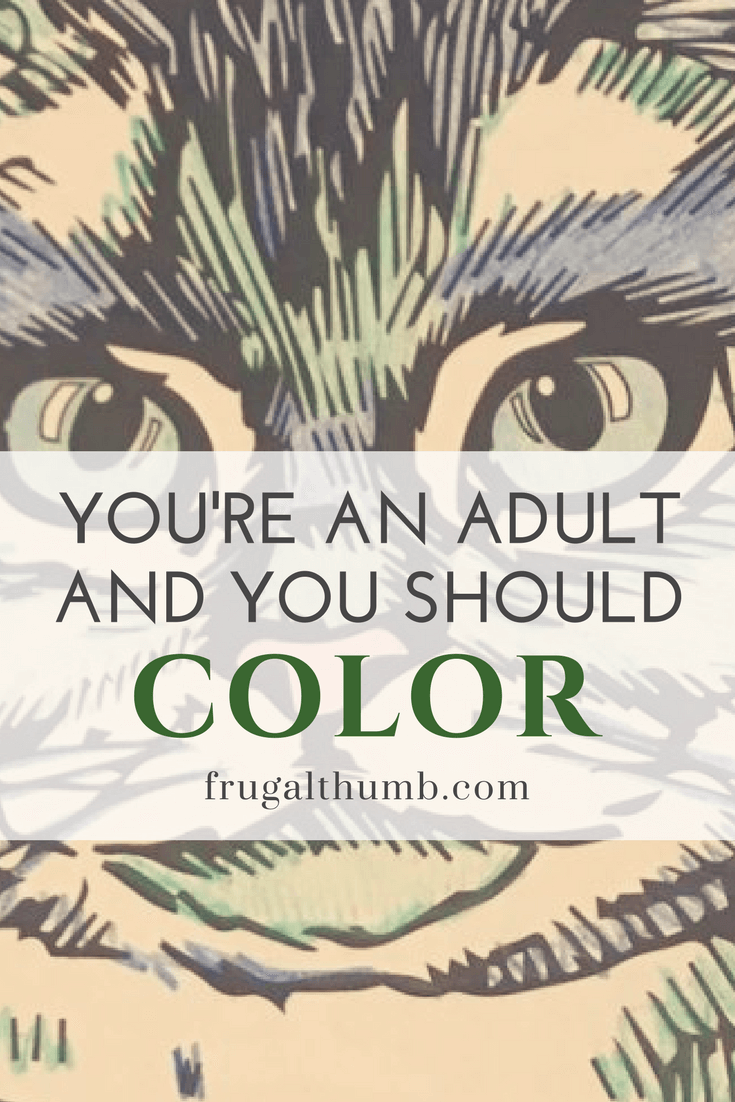 You're an Adult and You Should Color 