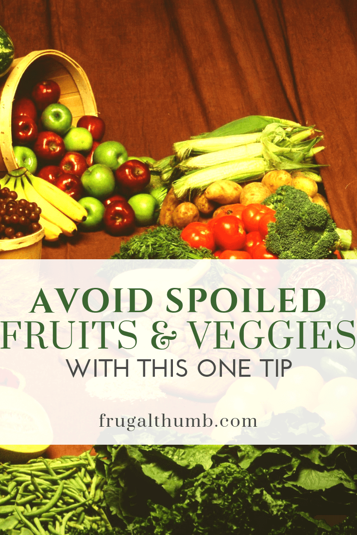 Never Have Spoiled Fruits and Vegetables in Your Home Again