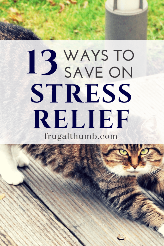 Ways to Save on Stress Relieving Activities
