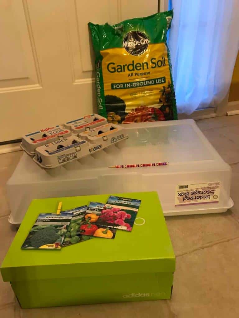 seed starter kit supplies from around the house