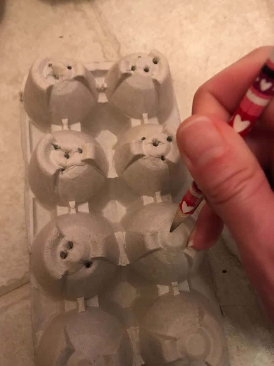 Poke holes in egg carton cups