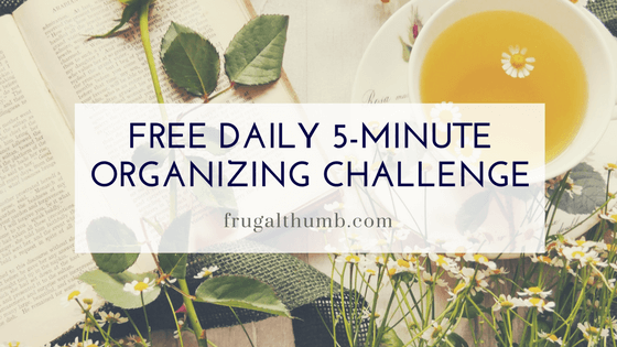 Free Daily 5-minute Organizing Challenge