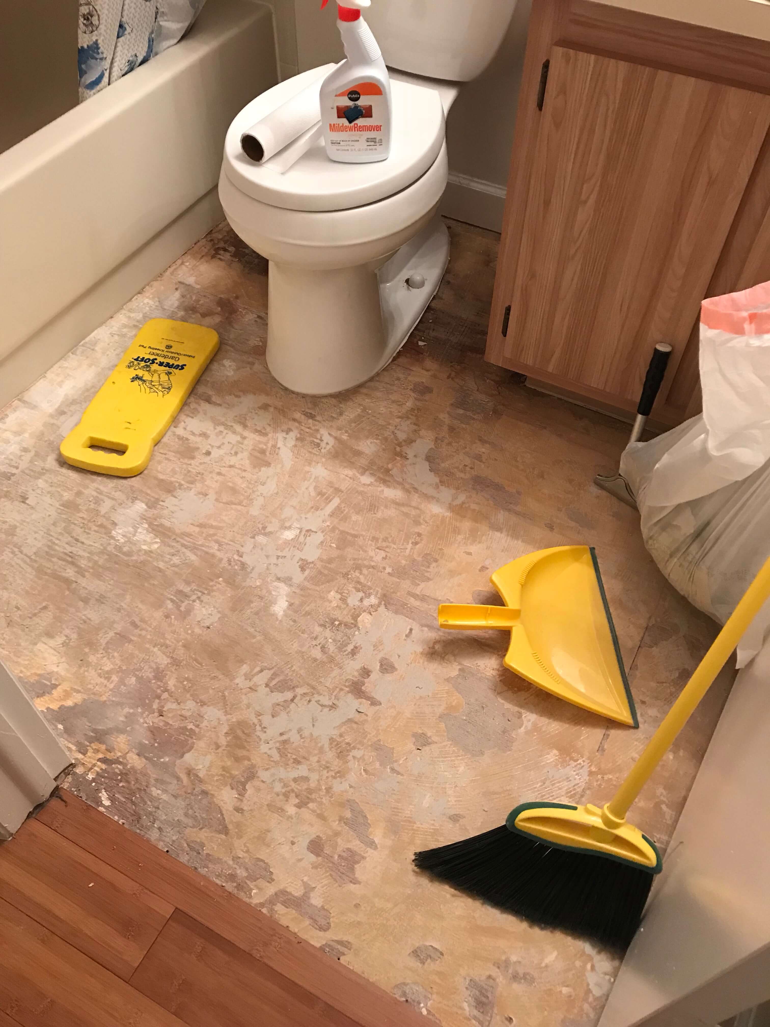 Safely remove black mold from your subfloor - Frugal Thumb