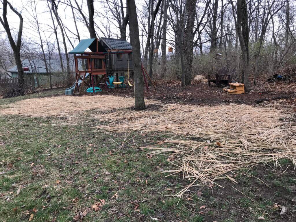 Skip the straw blankets and use your ornamental grass to spread over