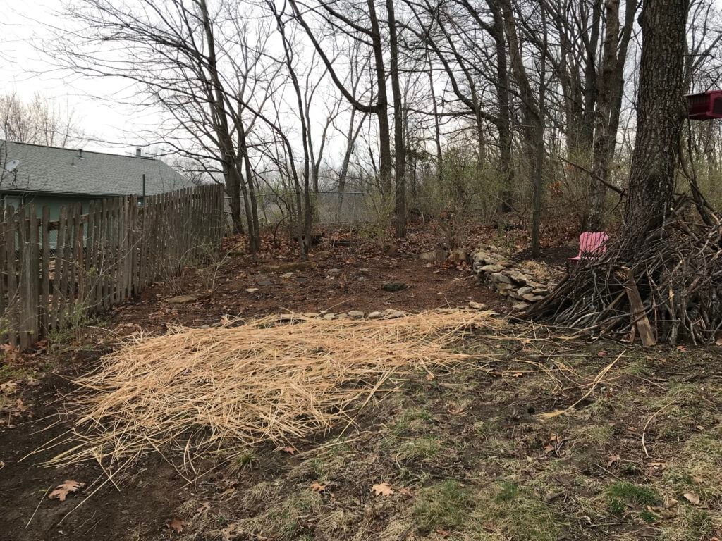 Skip the straw blankets and use your ornamental grass to spread over